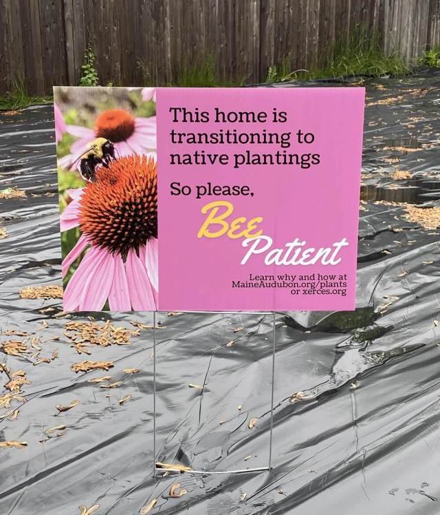 One gardener shared a clever sign they'd made to explain their transition to native plantings to their neighbors.