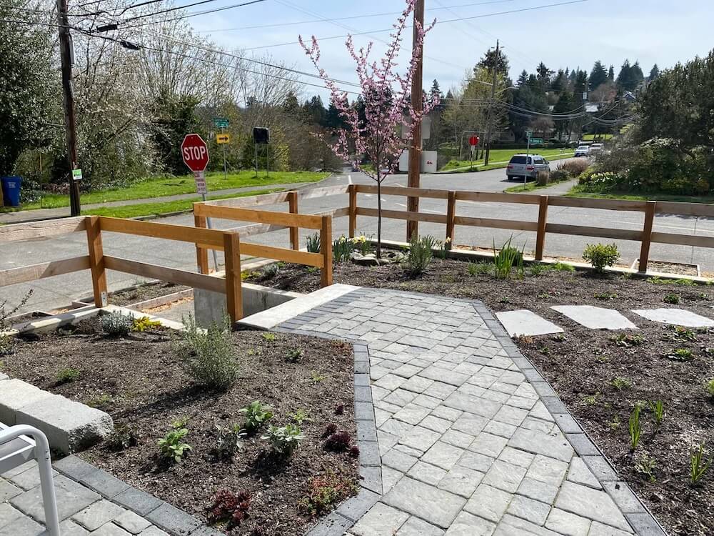 A Reddit post showing what a no-lawn yard really looks like after one year is gaining attention for its honesty.