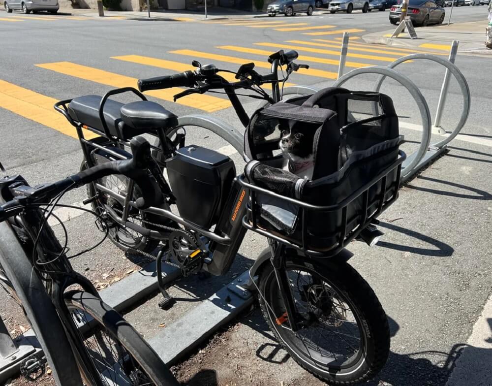 One Reddit user shared their recommendation for the best e-bike to purchase for two adults and their small, senior dog.