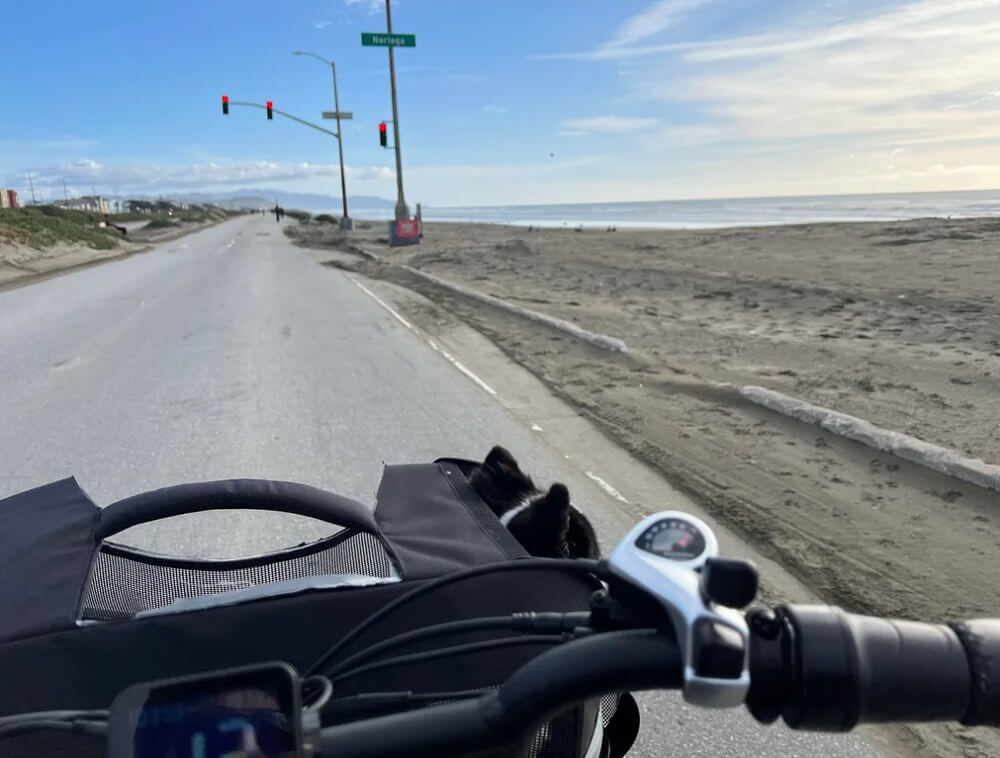 One Reddit user shared their recommendation for the best e-bike to purchase for two adults and their small, senior dog.