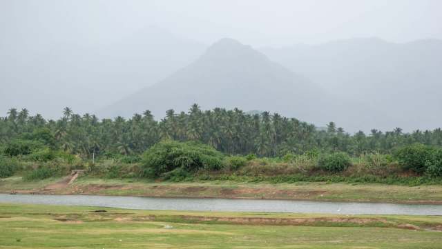 The Tamil Nadu Forest Department plans to launch a biochar manufacturing facility to make use of invasive plant species.