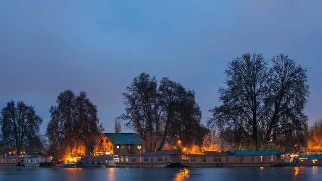Wildlife officials in northern India initiated a massive operation to capture a black bear that was wandering near residential areas.