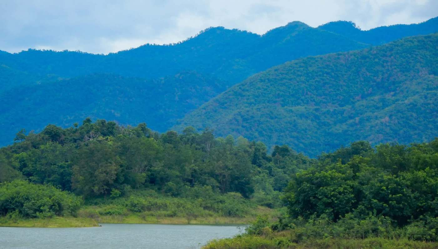 A black panther walked across a road in Thailand's Kaeng Krachan National Park, giving tourists an incredible view of the protected big cat.