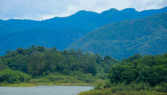 A black panther walked across a road in Thailand's Kaeng Krachan National Park, giving tourists an incredible view of the protected big cat.