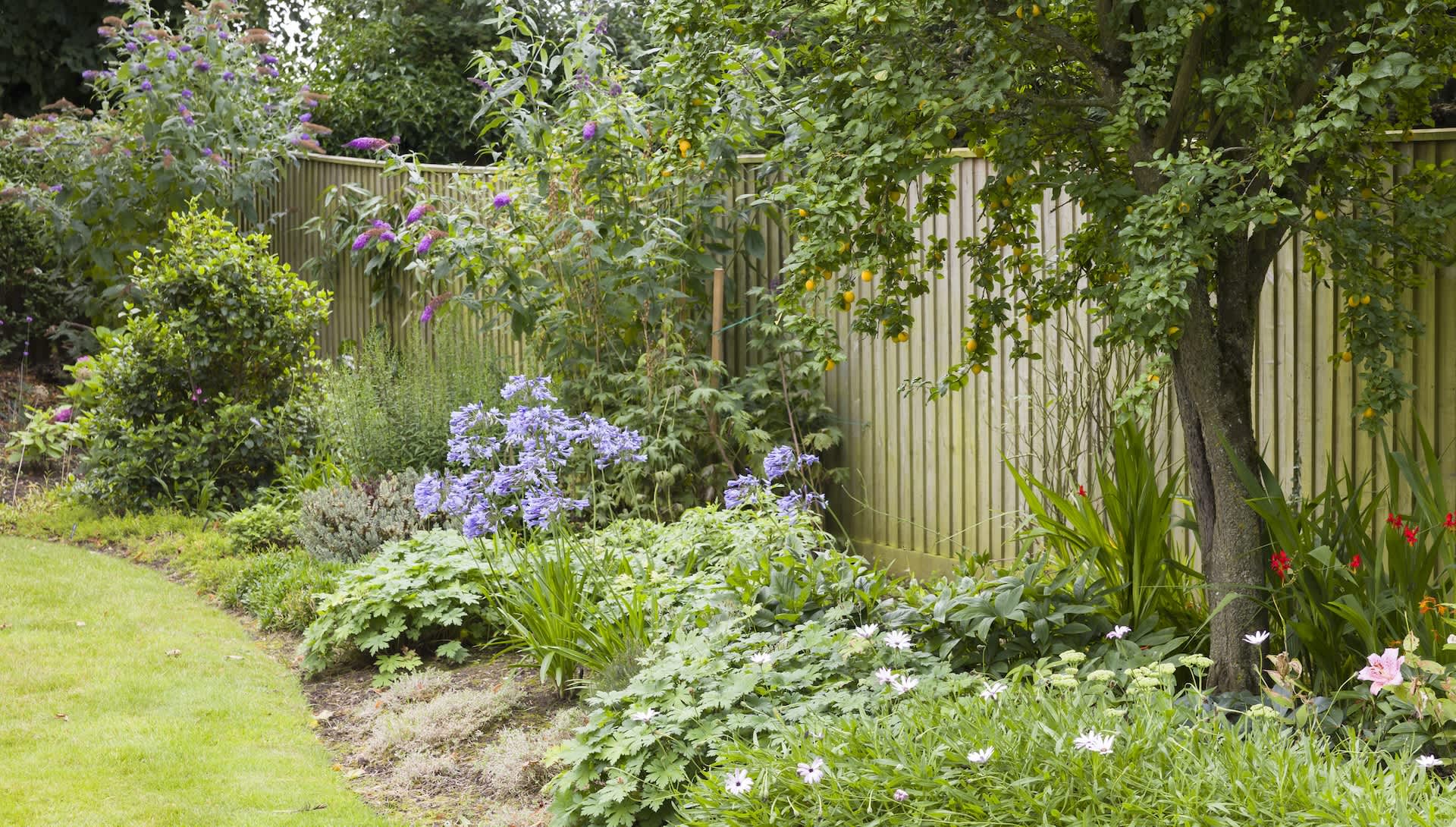 Gardener shares stunning video of unexpected backyard visitor: 'She's a beauty'