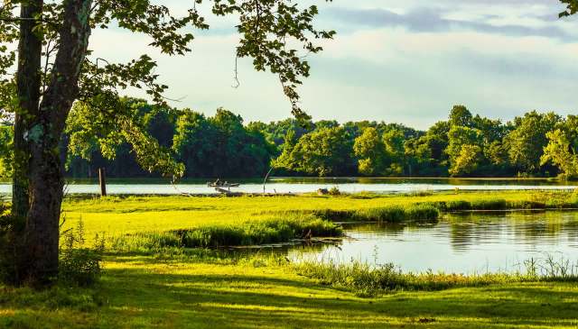 Trail cameras caught footage of a rarely seen bobcat in Ohio's Prairie Oaks Metro Park.