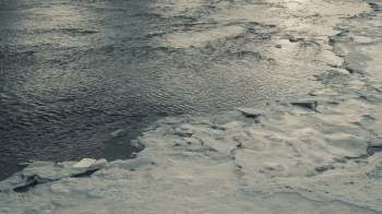 Researchers recorded bowhead whales' songs under Arctic ice and found the cacophony of different croons.