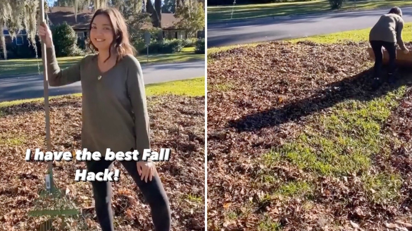 Creator and mom Virginia Mitchell has a tip to keep your lawn leaf-free — no rake required.