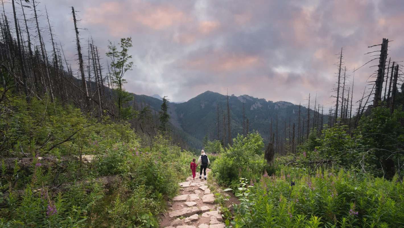 A brown bear was spotted out of season in Poland's Tatra Mountains, raising concerns about the animal's hibernation patterns.