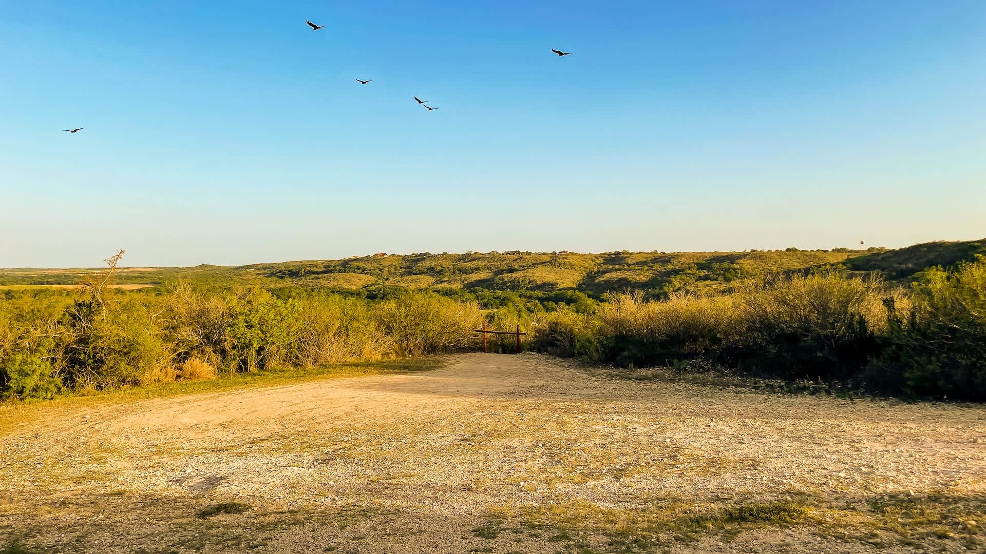 Experts thrilled after capturing photos of rare creatures in US wildlife preserve: 'We can almost not believe it'
