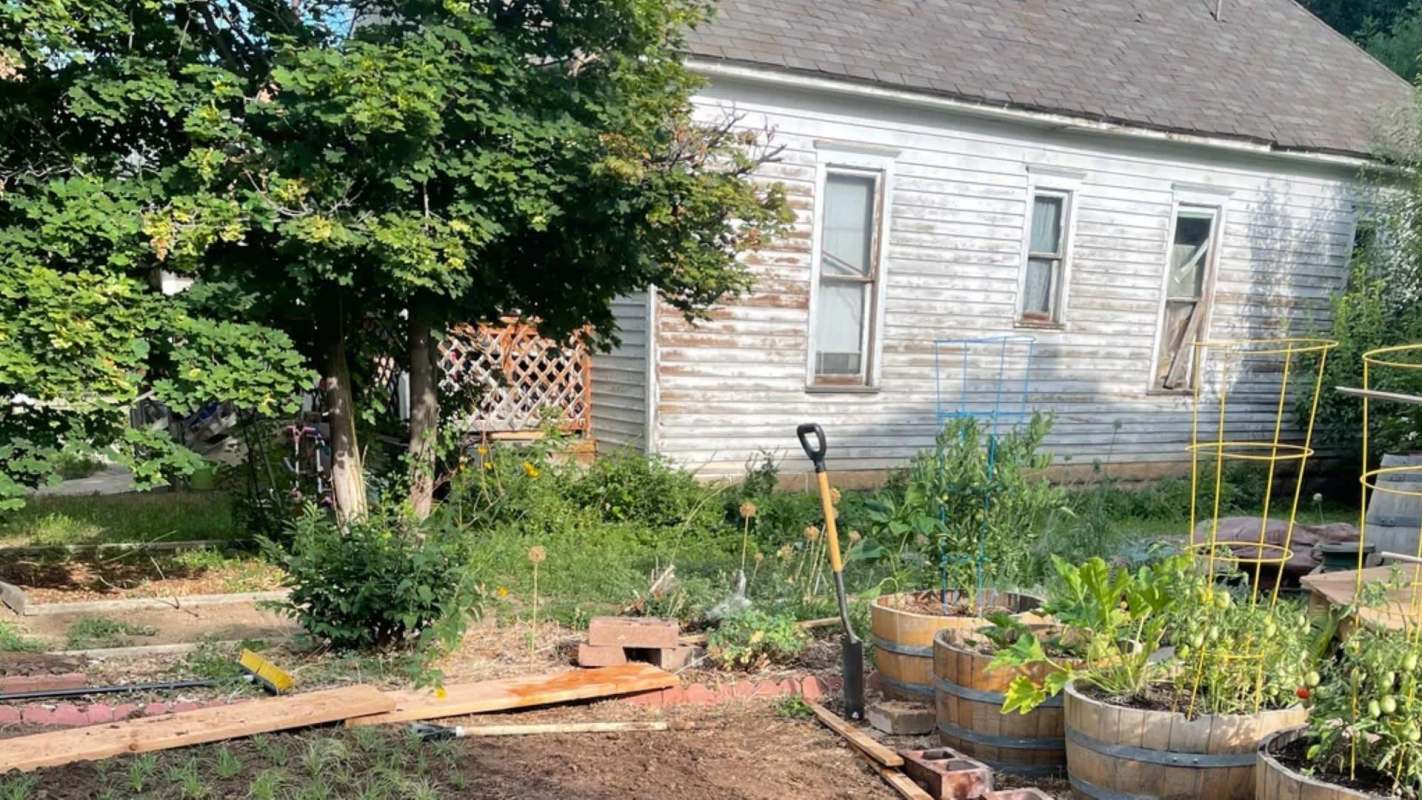 One Redditor showed off their thriving buffalo grass, revealing a lush and vibrant lawn that cut back on maintenance needs.