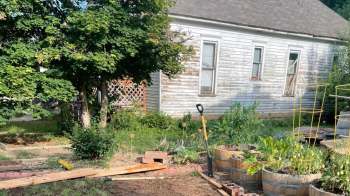 One Redditor showed off their thriving buffalo grass, revealing a lush and vibrant lawn that cut back on maintenance needs.