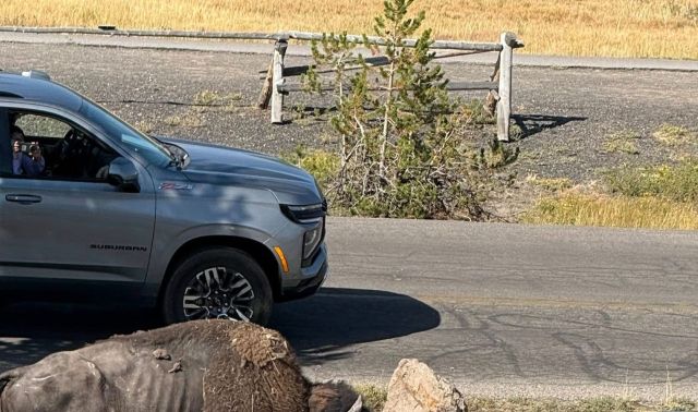 A bystander in Yellowstone National Park shared photos of visitors getting too close to a bison and risking harm to themselves and the animal.