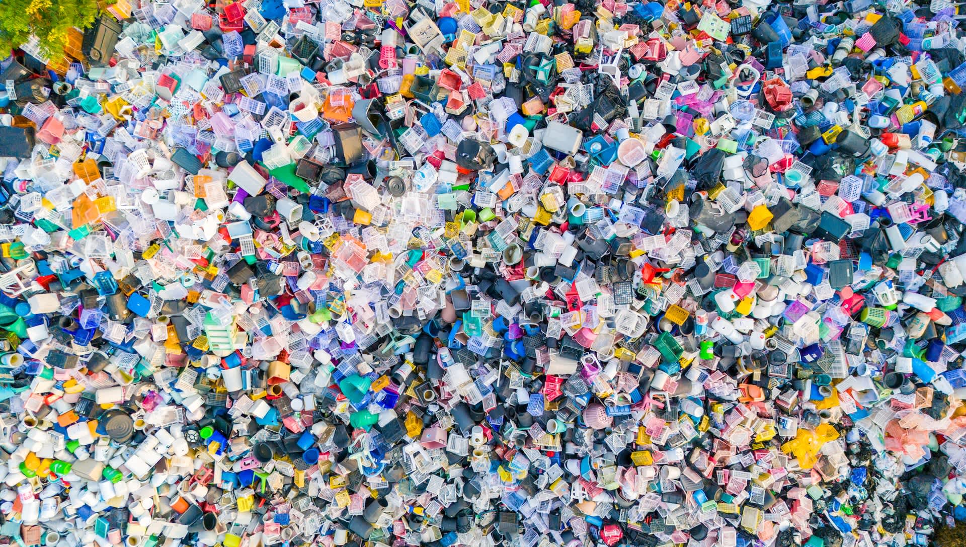 Innovative partnership could transform what happens to common waste: 'We will give new life'