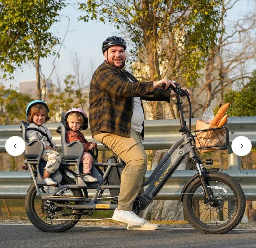 One e-bike commuter asked the r/ebikes subreddit for advice on how to transport her 12-year-old Golden Retriever.