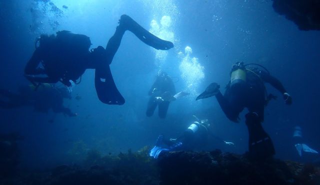 Scientists retrieved a series of artificial structures known as "underwater hotels" that were placed among Guam's coral reefs more than seven years ago.