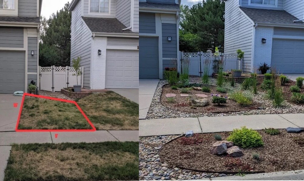 One Colorado homeowner got their HOA's approval for native plant lawns.