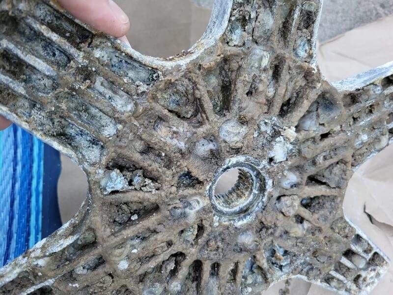 One Redditor shared a disgusting discovery they made while cleaning their laundry machine, highlighting the effects popular products can have on an essential appliance.