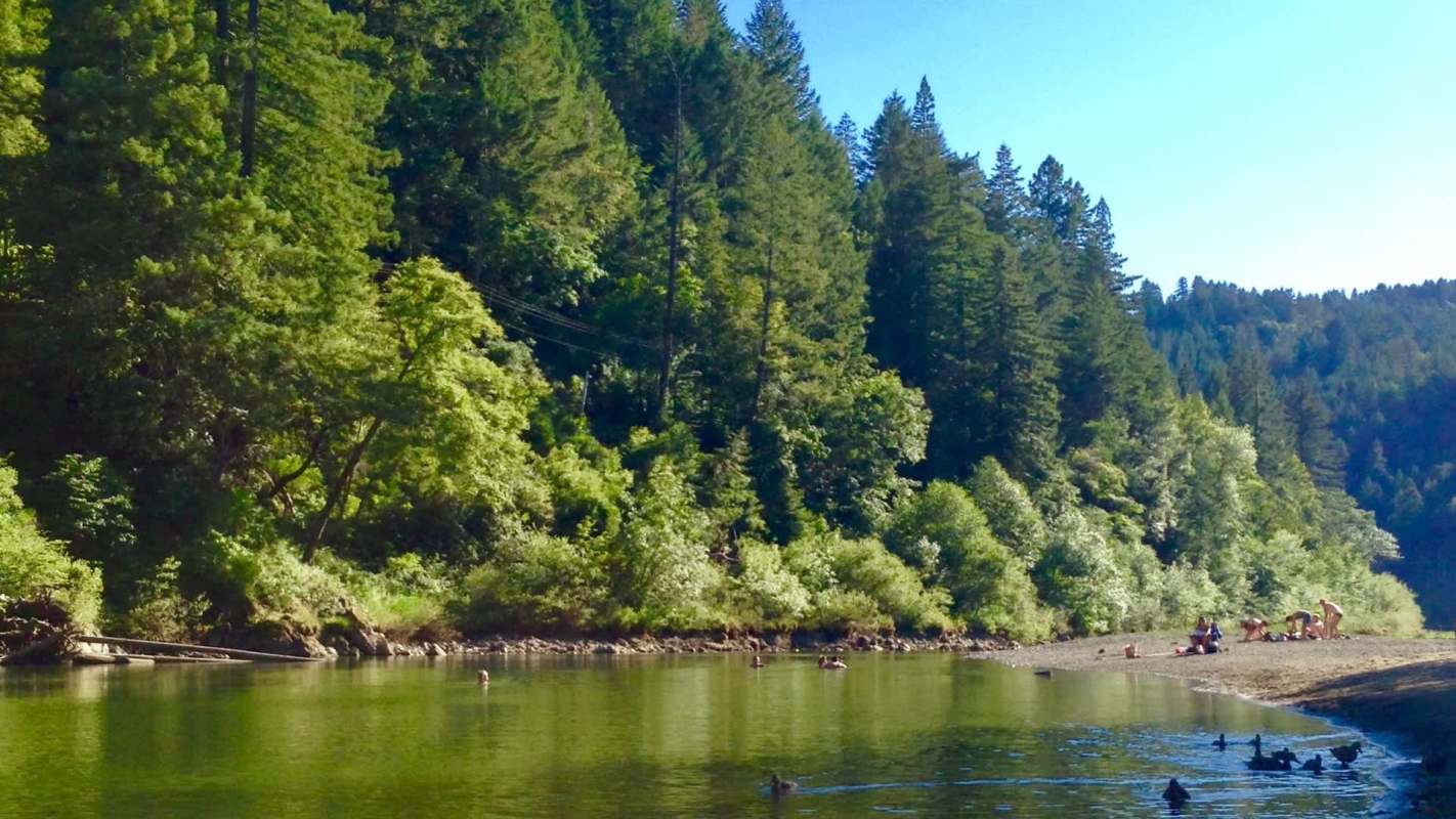 No one had seen any young coho salmon in California's Russian River for over 30 years — until now.