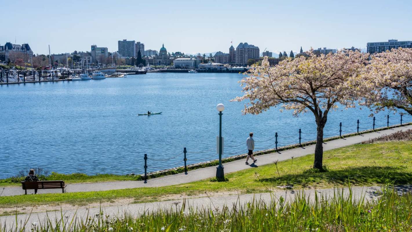 The British Columbia Conservation Officer Service confirmed a cougar sighting on Jan. 3 in a Victoria West neighborhood.