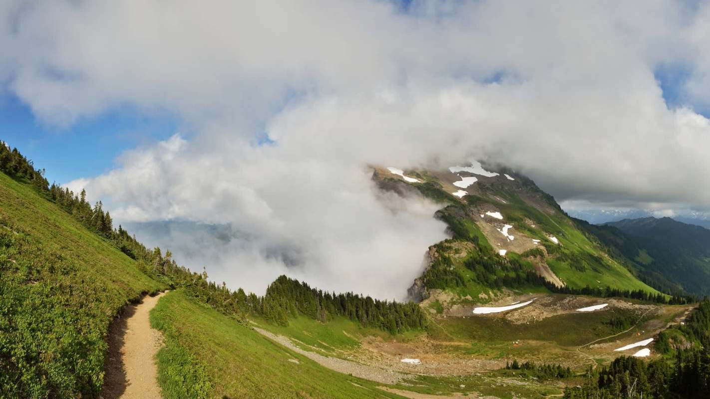 Cougars have been spotted on the Chilliwack hiking trail in Canada, prompting officials to issue warnings about the aggressive big cats.