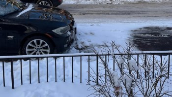 One Chicago resident was greeted by a surprise appearance from a predator for a recent coyote sighting in Chicago.