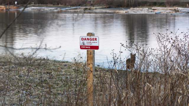 Officials in Newmarket, Ontario, are warning residents to be on the lookout for coyotes after a spike in sightings.