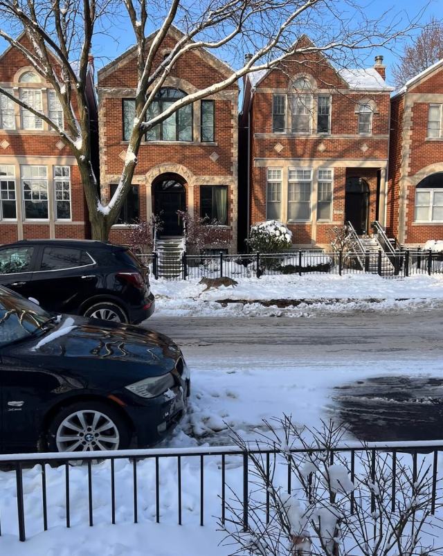 One Chicago resident was greeted by a surprise appearance from a predator for a recent coyote sighting in Chicago.
