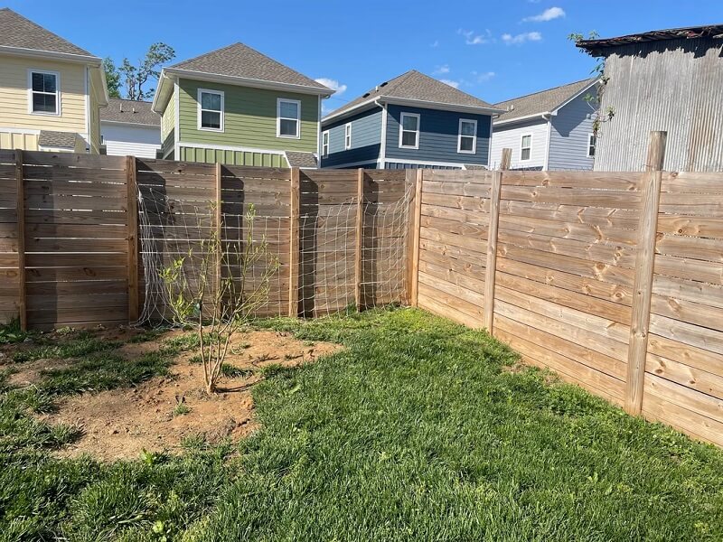 Check out the Reddit thread filled with advice for a gardener who accidentally planted morning glory, a notoriously invasive plant.