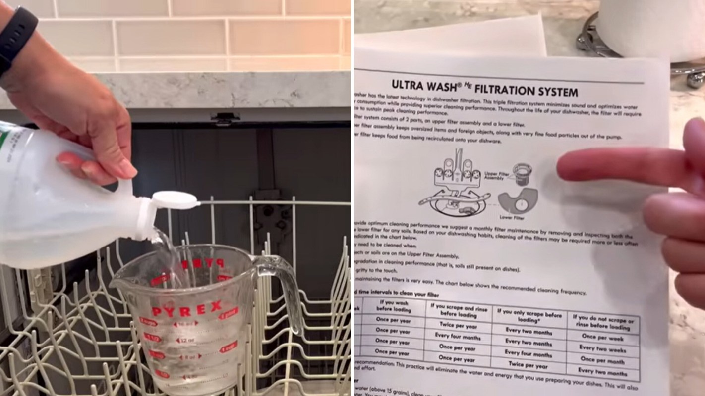 One DIY enthusiast created a how-to guide on YouTube to clean dishwasher filters using things most people have at home.
