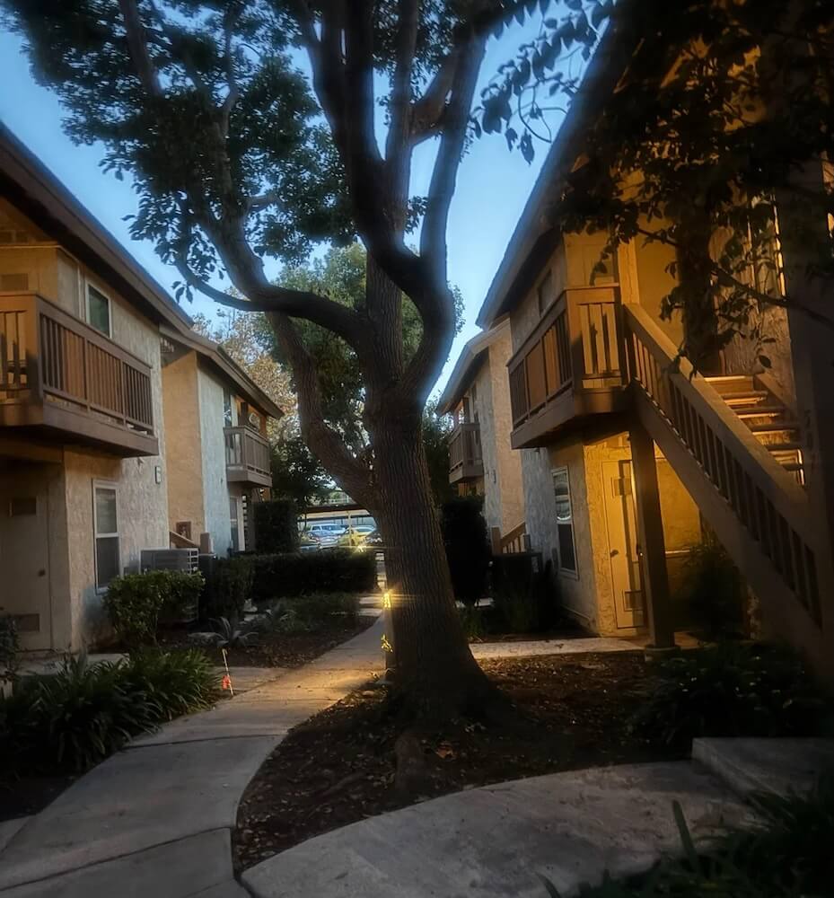 One Redditor shared the infuriating story of an HOA member wanting to cut down large trees surrounding the housing complex.