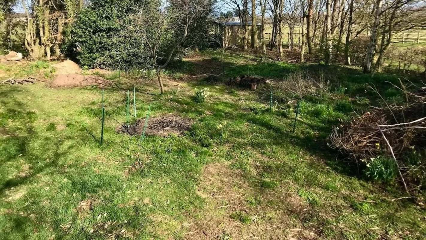 A Redditor who was making massive progress on their dream garden oasis was eager to share pictures with the community at r/GardeningUK. 