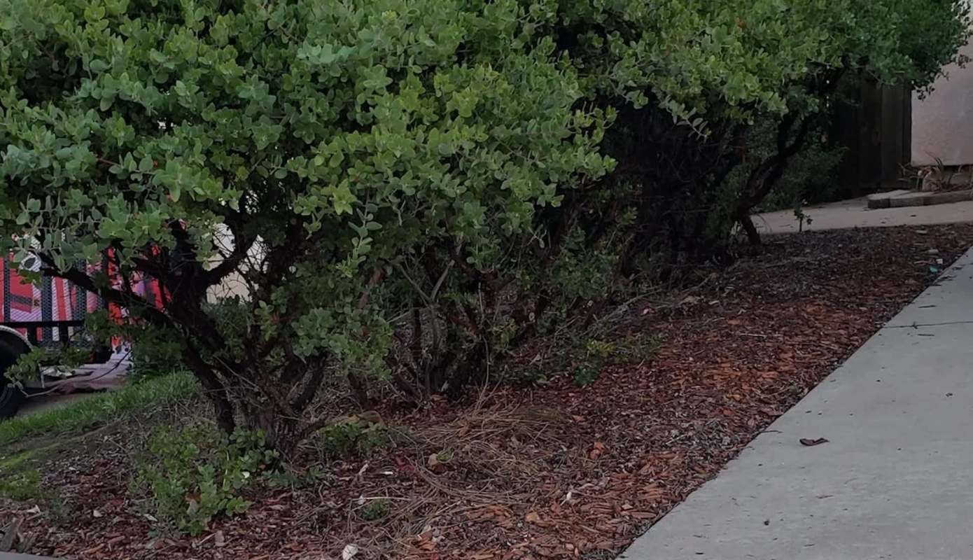 A California-based homeowner recently spotlighted their gorgeous eight-year-old dry creek bed on Reddit.