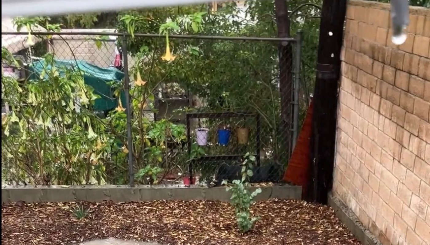 One Redditor shared in the r/Ceanothus subreddit how a storm filled her unfinished dry stream bed.