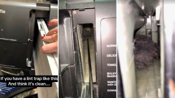 One homeowner uncovered the secret lint that builds up in one's dryer, even when one thinks one has cleaned the trap.