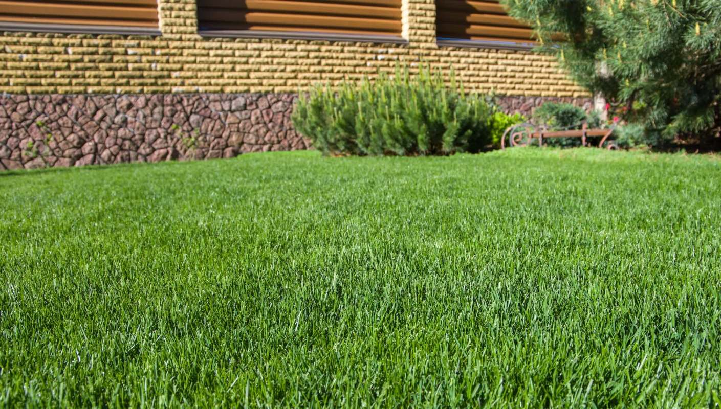 One Redditor was surprised to find eastern hog-nosed snakes living in their yard — and other Redditors were envious.