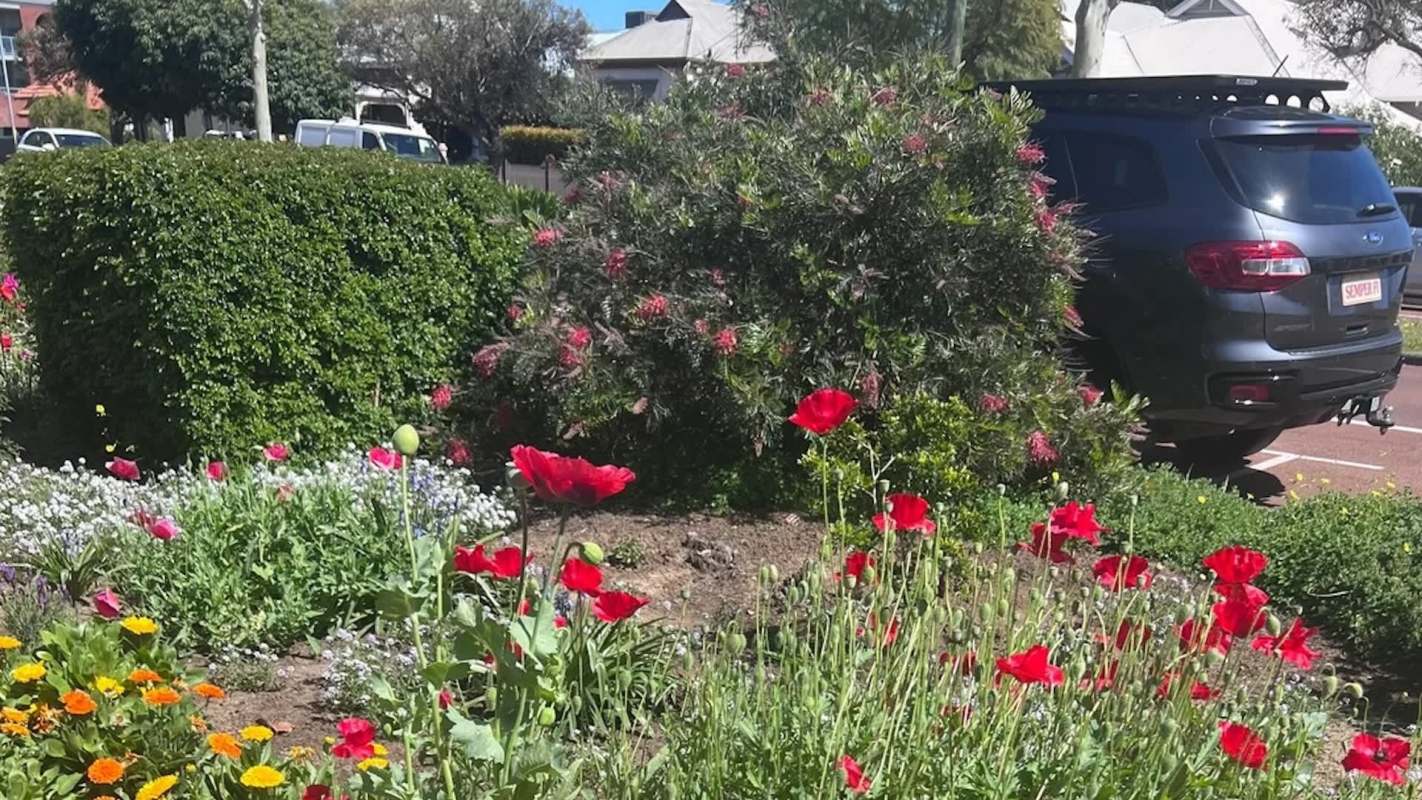 This Reddit post showed a 97-year-old's stunning garden, and people were stunned by the beautiful photos shared.