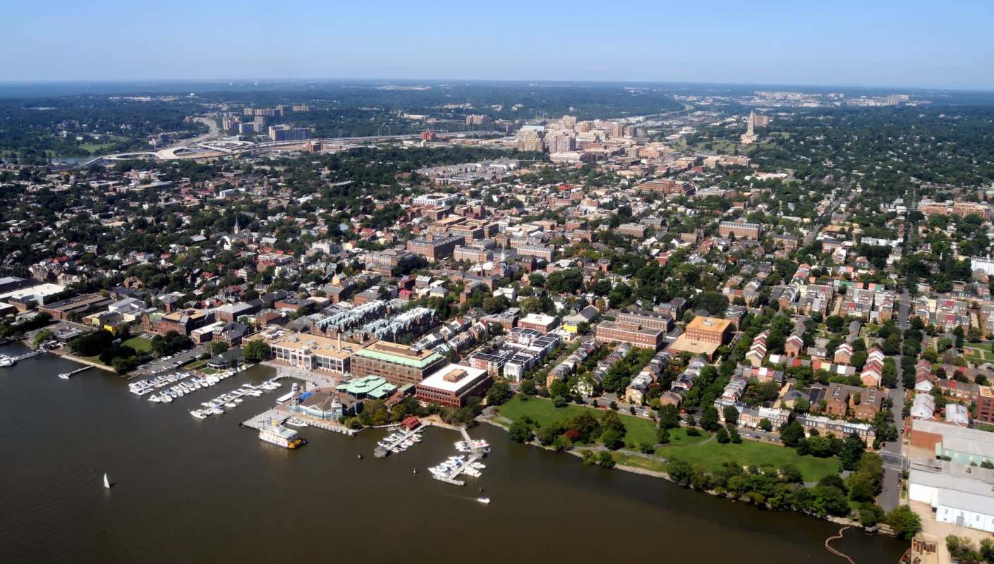 Recent research on the elm zigzag sawfly documented the growing threat to trees in the U.S.