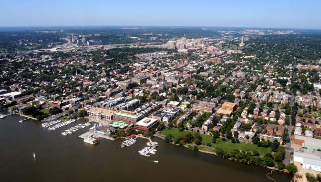 Recent research on the elm zigzag sawfly documented the growing threat to trees in the U.S.