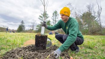 Ash trees across the U.S. are disappearing at a staggering pace, and it's due to the destructive pest, the emerald ash borer.