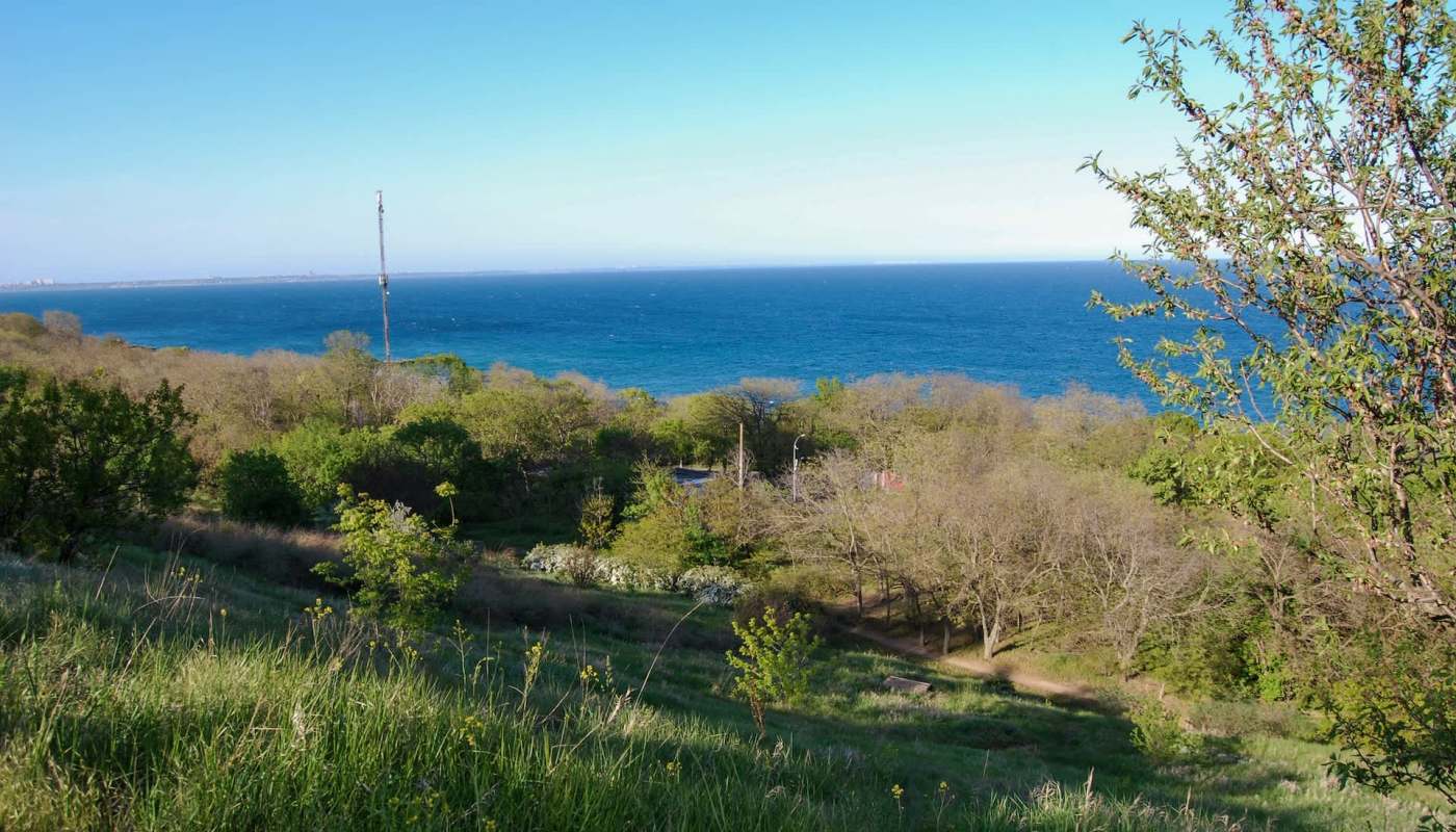 Wildlife experts from a Ukrainian national park photographed an ermine in an area that should've been snow-covered but was not.
