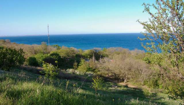 Wildlife experts from a Ukrainian national park photographed an ermine in an area that should've been snow-covered but was not.