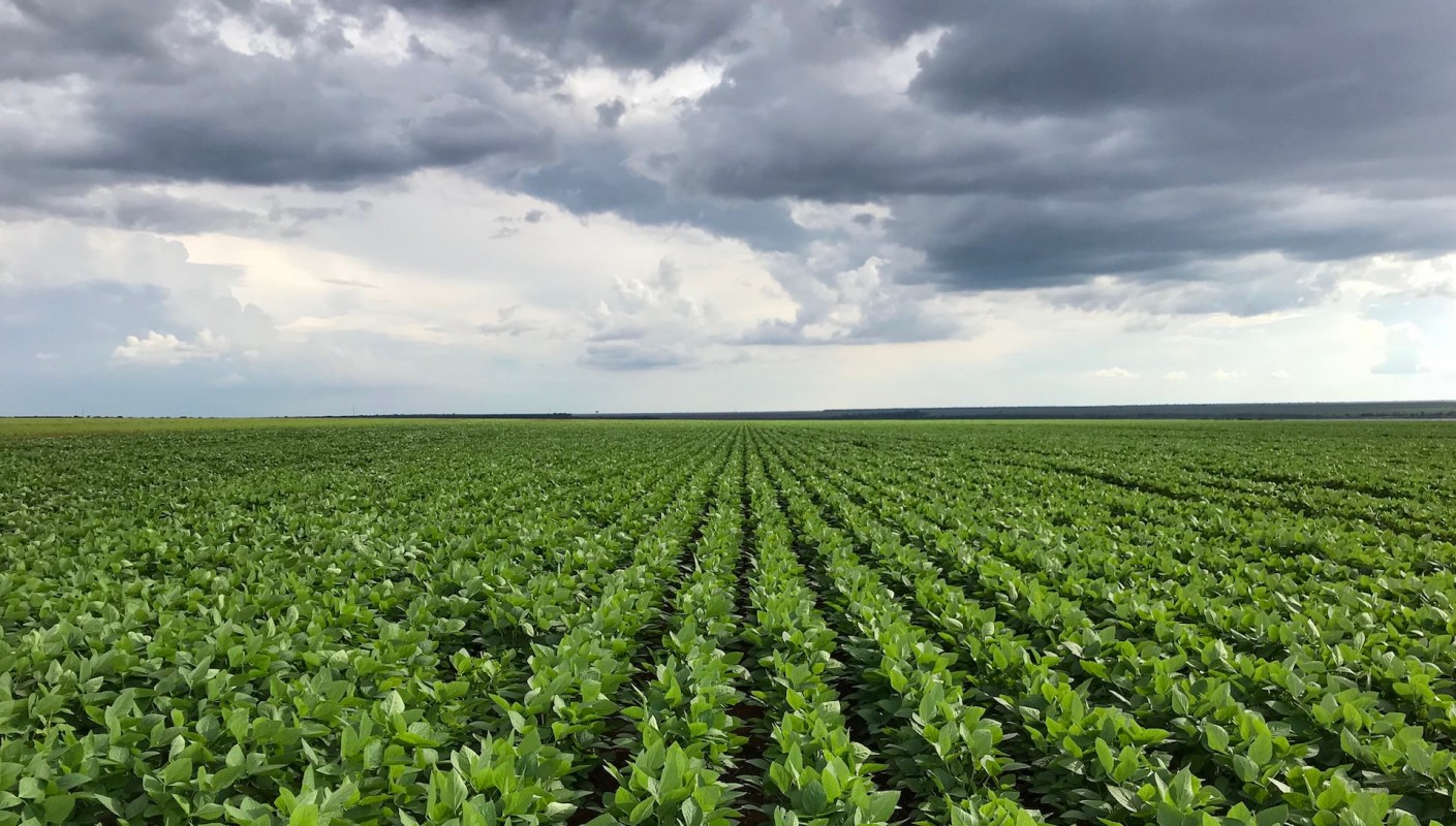 The expansion of soy farming in one region of the Brazilian Amazon has literally suffocated local people and led to forced displacement.