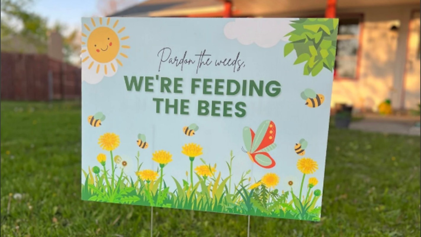 One Redditor discussed ways to keep neighbors from giving unwanted lawn advice, sharing their humorous solution.