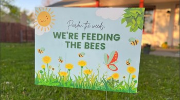 One Redditor discussed ways to keep neighbors from giving unwanted lawn advice, sharing their humorous solution.