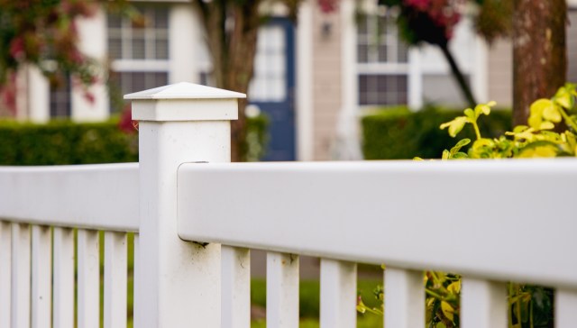 One Redditor shared their experience of having a neighbor top their tree, a practice that can be incredibly harmful to the tree.