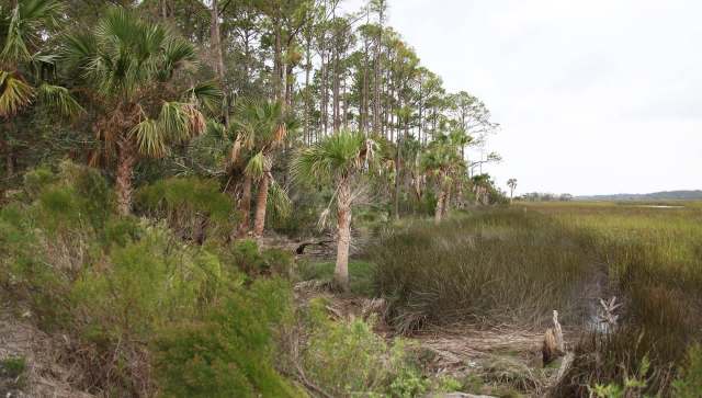 Federal and state officials from Tennessee and Kentucky are using new tactics to help them control a feral hog problem in Land Between the Lakes National Recreation Area.