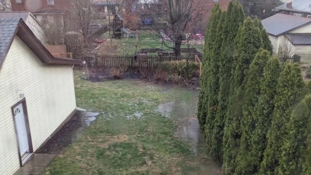 One gardener shared a story on r/landscaping about how they built a rain garden to fix a drainage issue in their backyard.