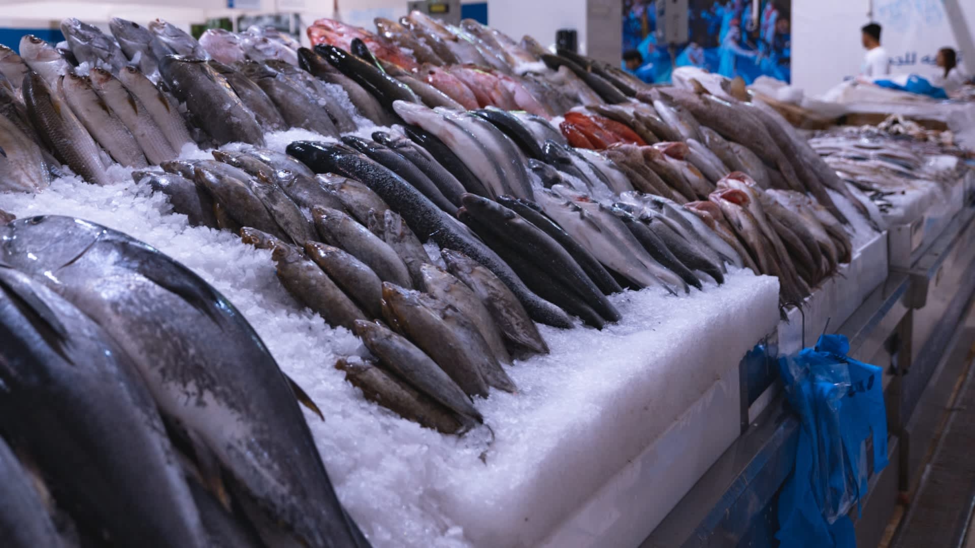 Researchers discover concerning threat lurking in seafood: 'Source of contamination'