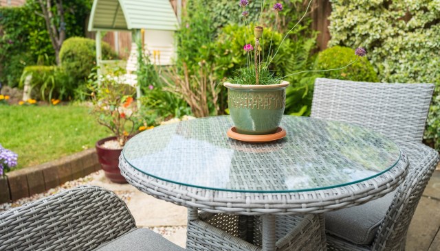 This TikToker found a furry visitor testing out her outdoor furniture, with a fox resting on a cushioned chair.